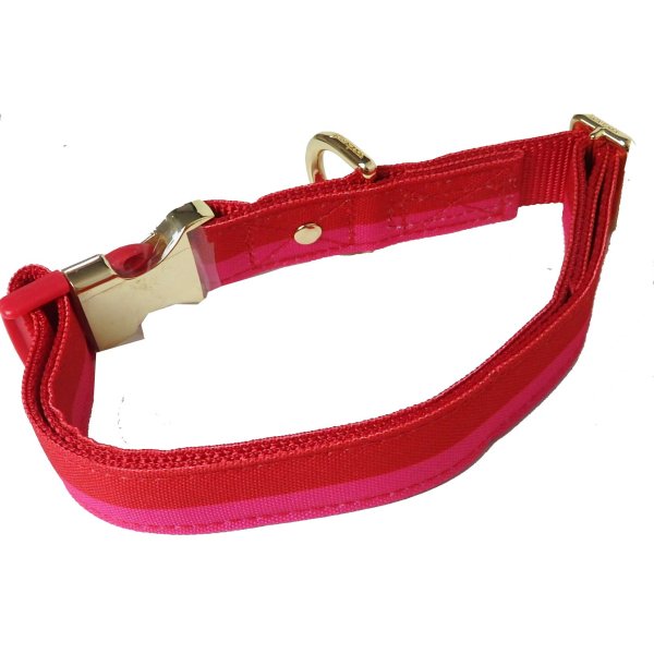画像7: (Kate spade new york)　犬の首輪　サイズS/M  M/L234254 234248 (7)
