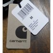 画像10: carhartt WIP　メンズ　Script T-ShirtロゴTシャツ　I031047 (10)