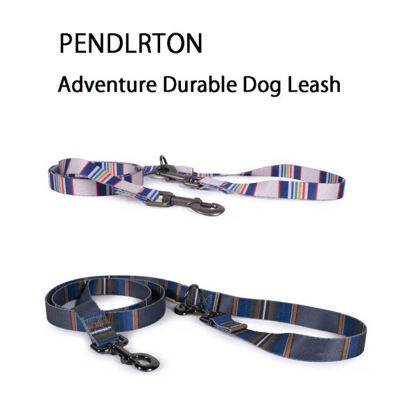 画像1: PENDLETON ペンドルトン リードAdventure Durable Dog Leash OPP1106-OLY YLW (1)