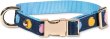 画像1: (Kate spade new york)　犬の首輪 Watercolor Dot 　サイズS/M  256128 (1)