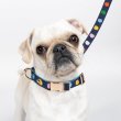 画像4: (Kate spade new york)　犬のリードWatercolor Dot　サイズS/M 　 256130　 (4)