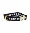 画像1: (Kate spade new york)　犬の首輪 ART Dot 　サイズS/M  237349 (1)