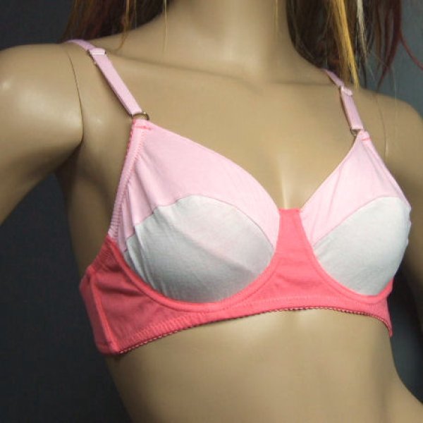 画像1: 【メール便対応】Spreegirlセレブ愛用バンブー下着Bra 7184coral (1)